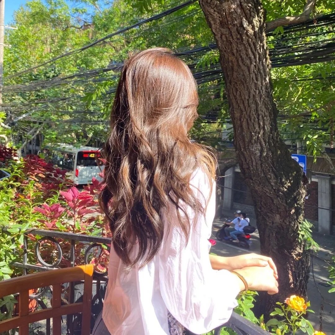 红楼梦第二部:黛玉葬花